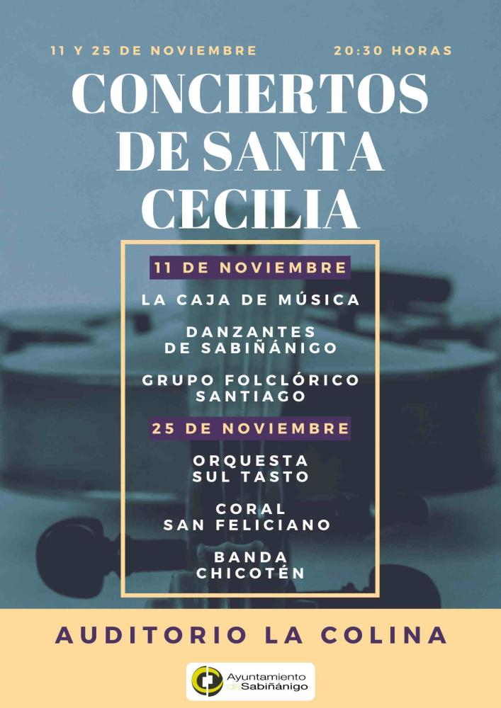 Imagen El Auditorio La Colina de Sabiñánigo, acoge un año más los conciertos de Santa Cecilia interpretados por distintas Agrupaciones Musicales de la localidad