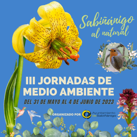 Imagen El Ayuntamiento de Sabiñánigo organiza del 31 de mayo al 4 de junio la...