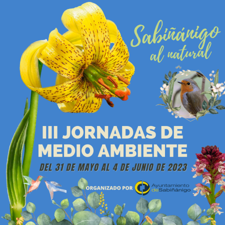 IG Jornadas