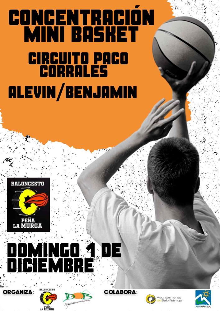 Imagen Concentración Mini Basket