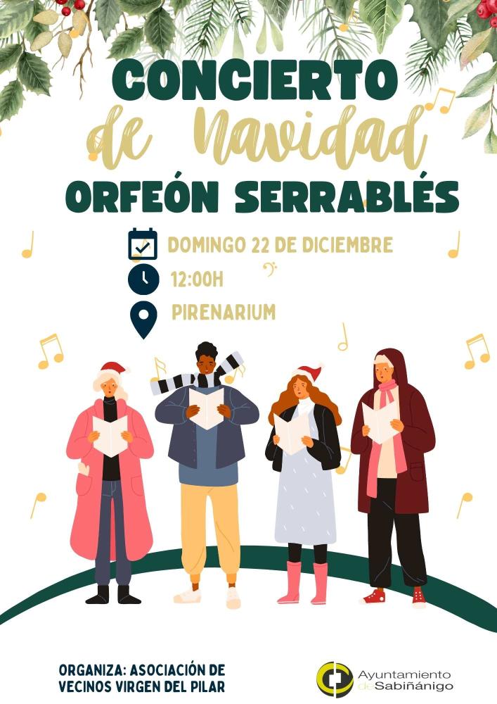 Imagen Concierto de Navidad.