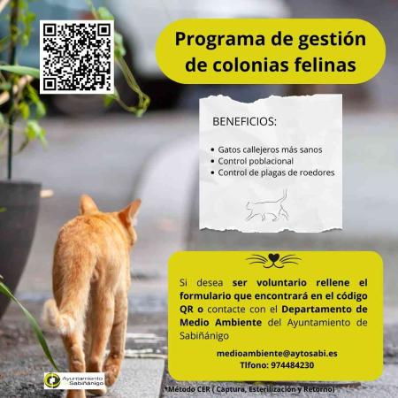 Imagen Proyecto voluntario para gestión de colonias felinas
