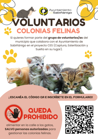 Imagen Se buscan voluntarios/as para las colonias felinas de Sabiñánigo