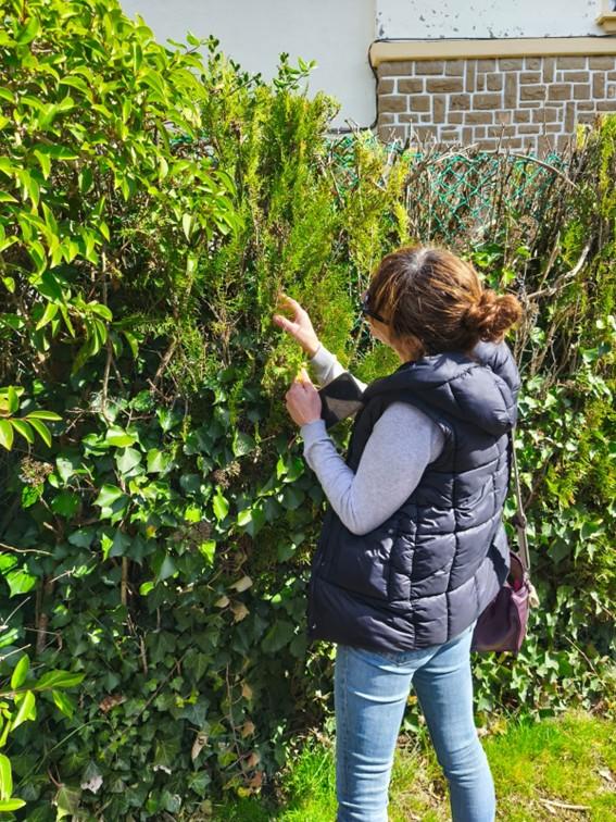 Imagen Se crea un herbario como parte de la formación técnica en botánica