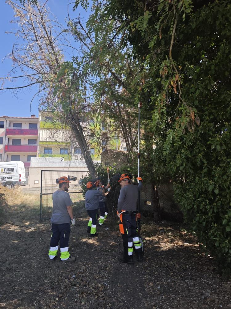 Imagen Avanzan a muy buen ritmo los trabajos del Programa Experiencial Biodiversisabi