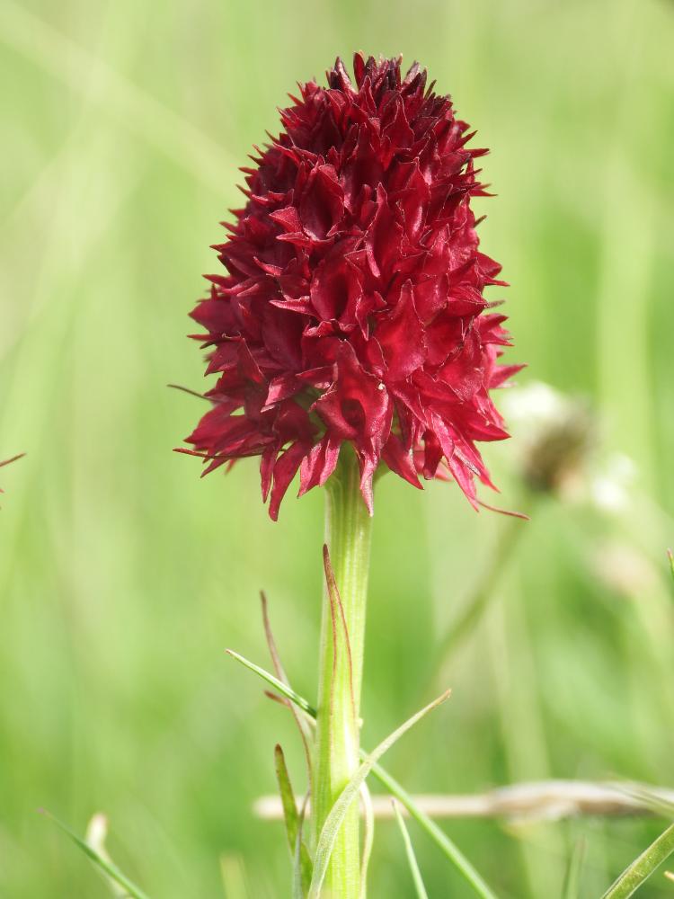 Imagen Exposición fotográfica 