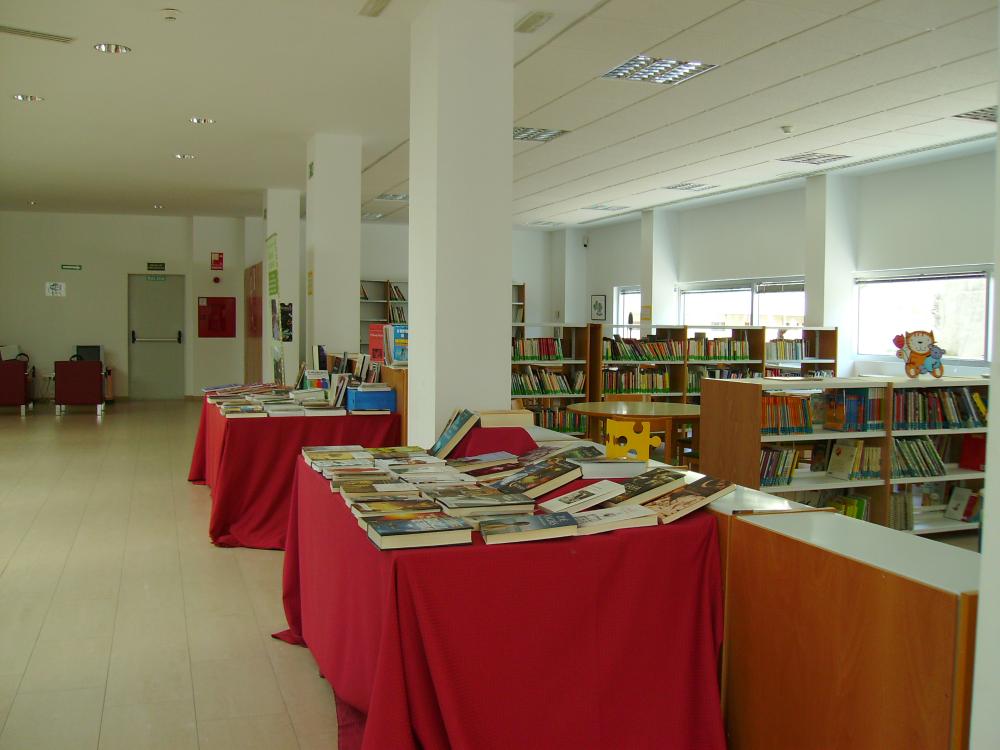 Imagen Exposición de novedades en la Biblioteca Muncipal