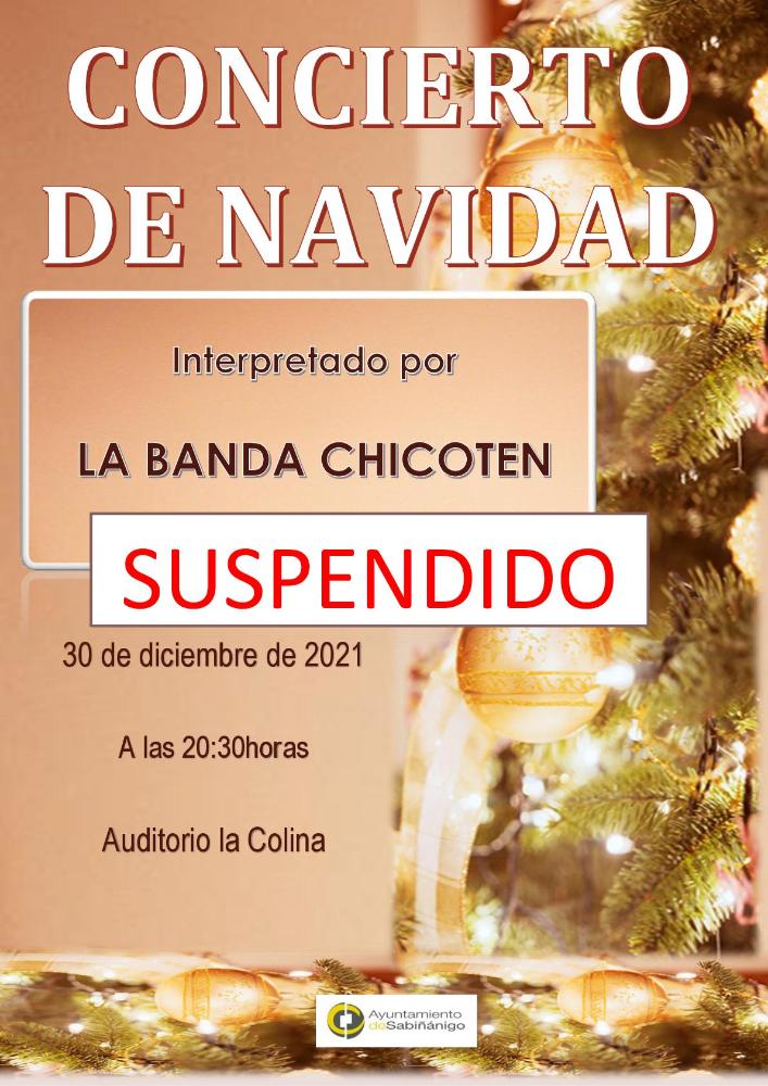 Imagen Se suspende el concierto de Navidad de la Banda Chicotén