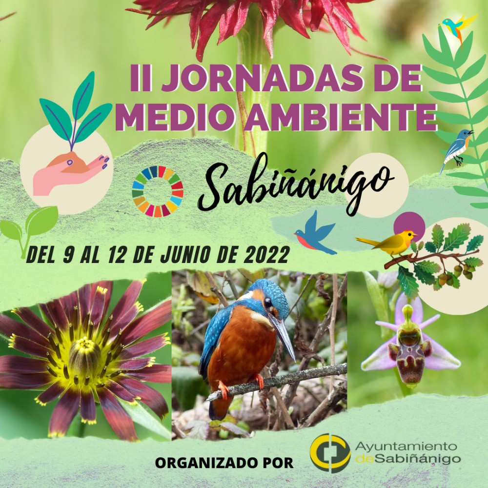 Imagen II Jornadas de Medio Ambiente en Sabiñánigo